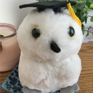 Graduation Owl Plush Toy